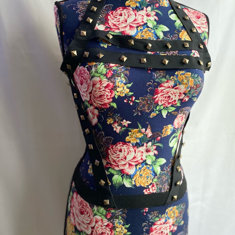 Harness